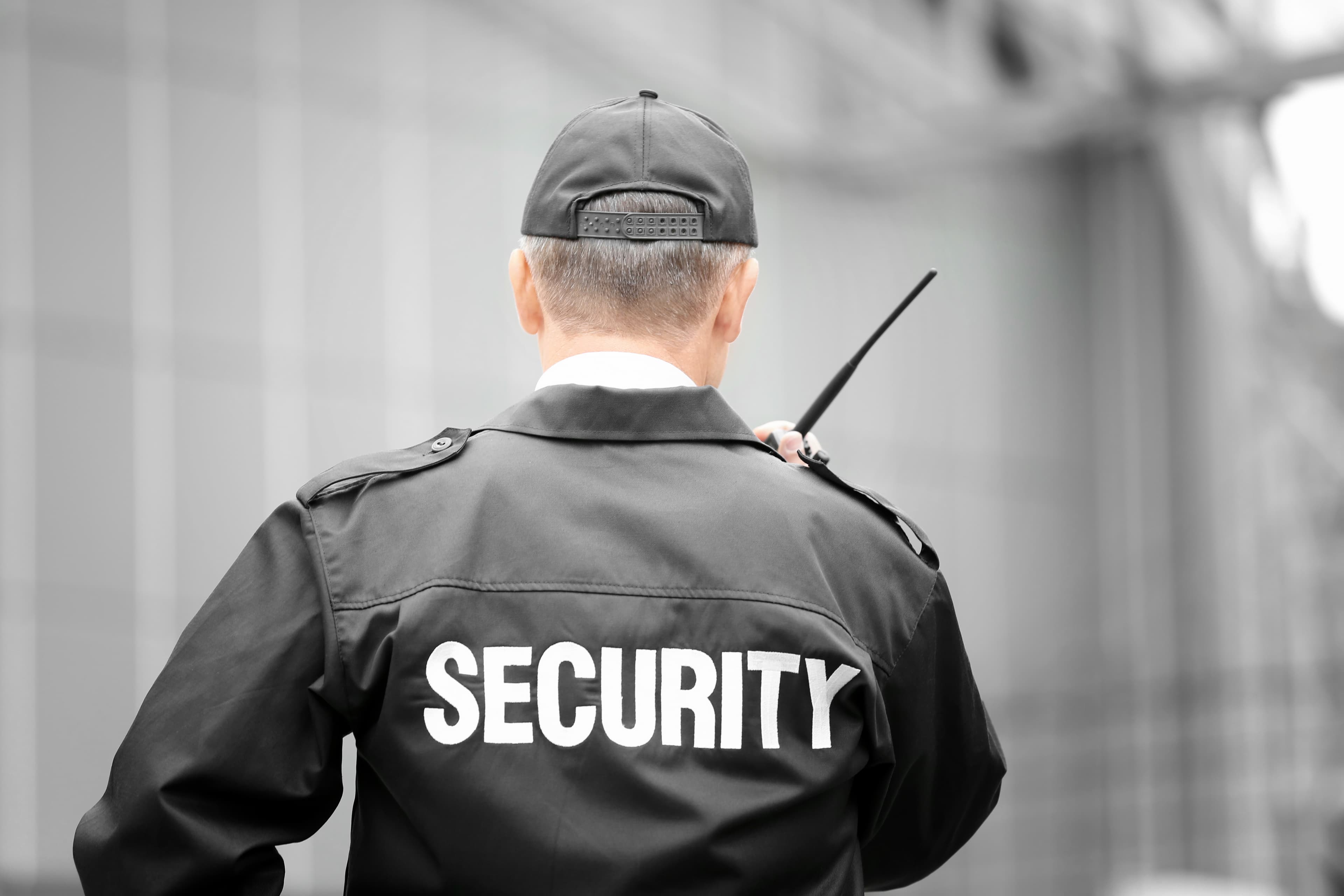 Professioneller Security-Dienst für Events in Oberösterreich